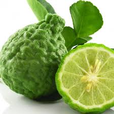 SAVON LIQUIDE PROVENCE - LAVANDE & BERGAMOTE - BIO