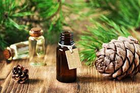 SAVON LIQUIDE SICILE - CEDRE ET AGRUMES - BIO