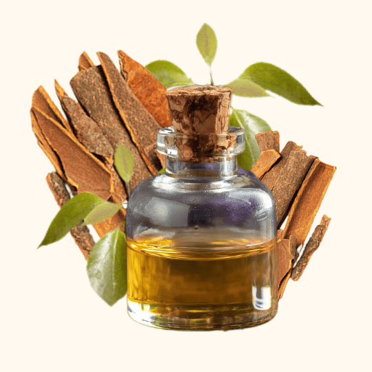 SAVON LIQUIDE ROSE DES BOIS